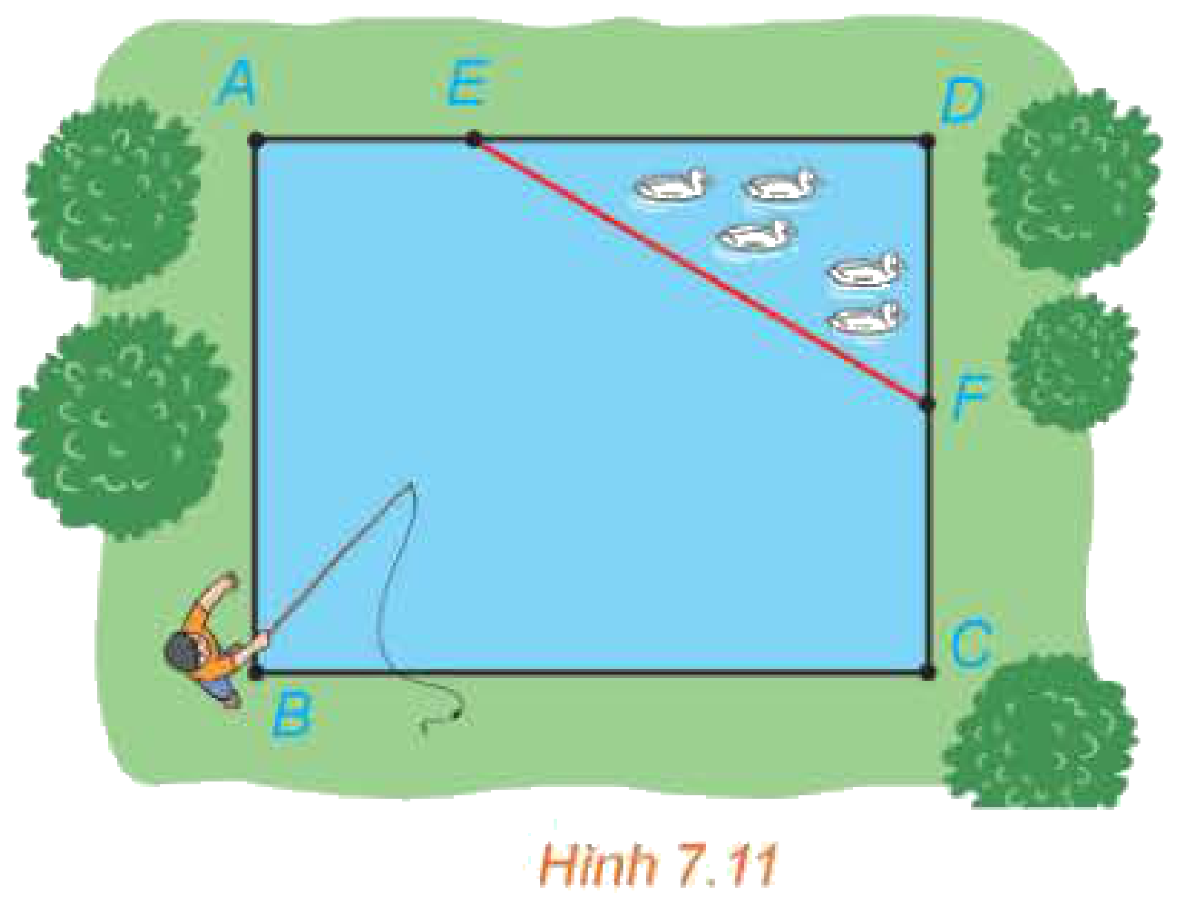 Hình 7.11