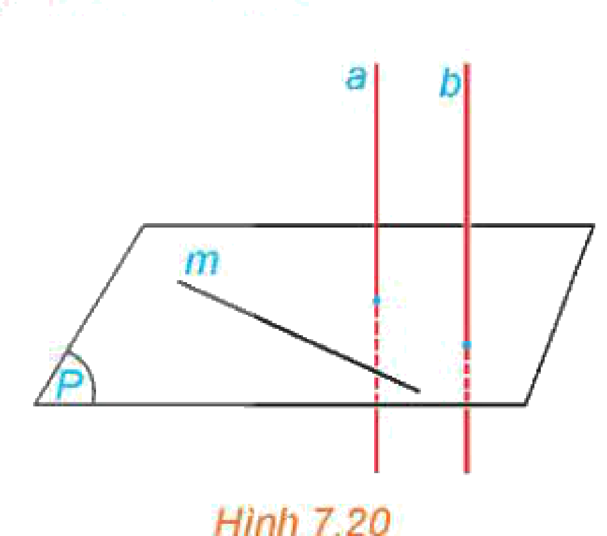 Hình 7.20