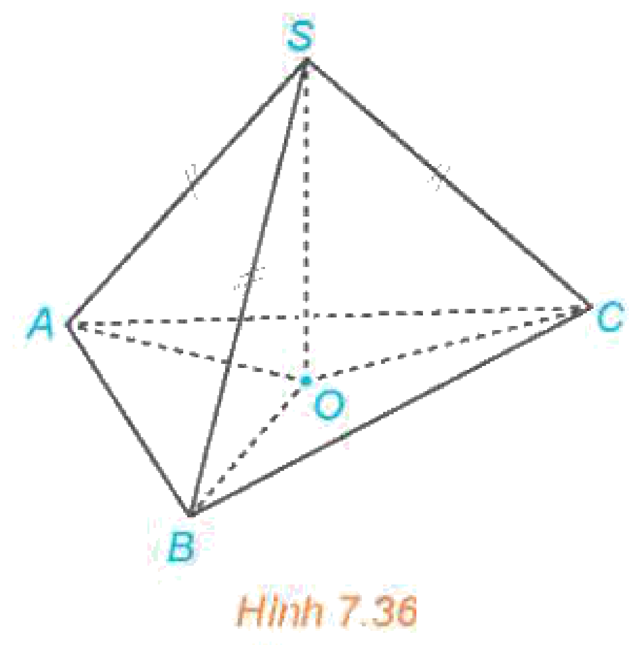 Hình 7.36: Hình chóp S.ABC có SA=SB=SC