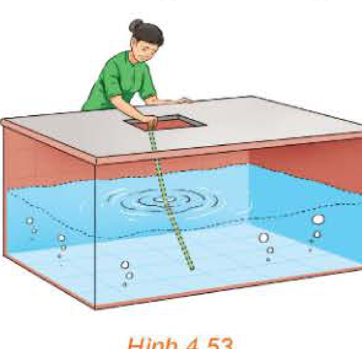 Hình 4.53